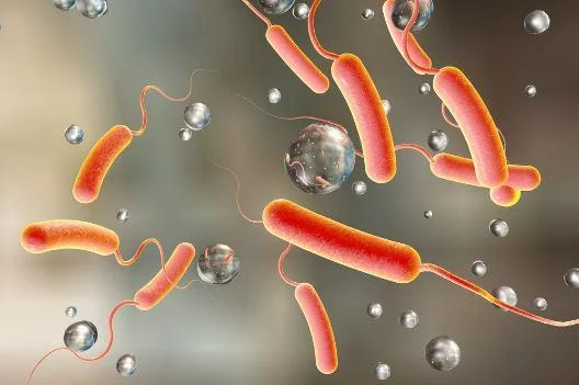 زيمبابوي .. أكثر من 1000 حالة إصابة جديدة بالكوليرا خلال أسبوع