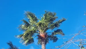 طقس المغرب