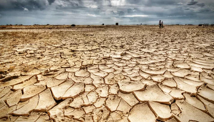 قلق متزايد في زامبيا من انعكاس الجفاف على الانتاج الفلاحي