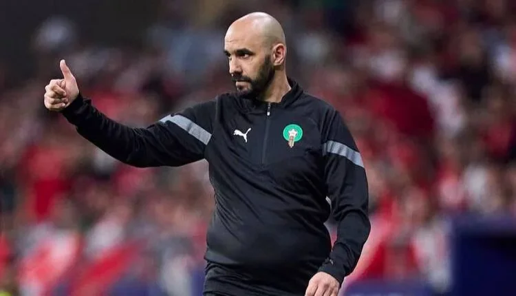 وليد الركراكي