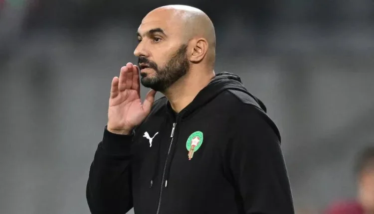 وليد الركراكي