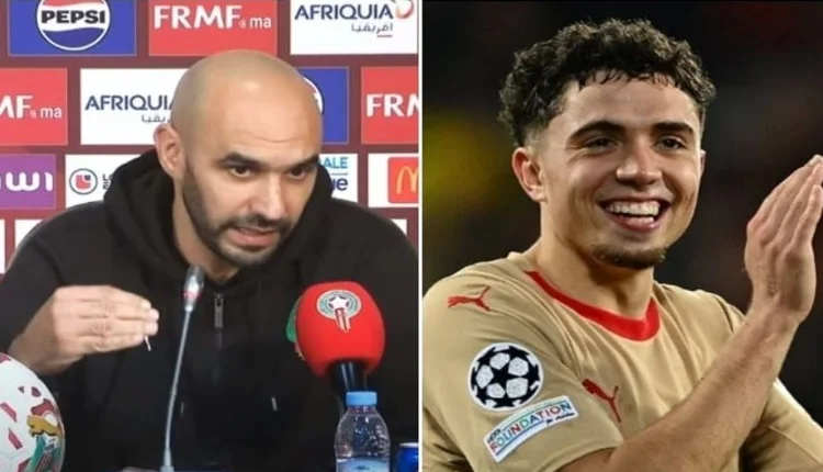 وليد الركراكي ونائل العيناوي