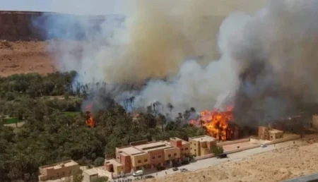 إقليم الرشيدية.. اندلاع حريق في واحة "أولاد شاكر"