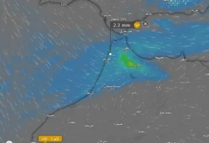 الأمطار الرعدية