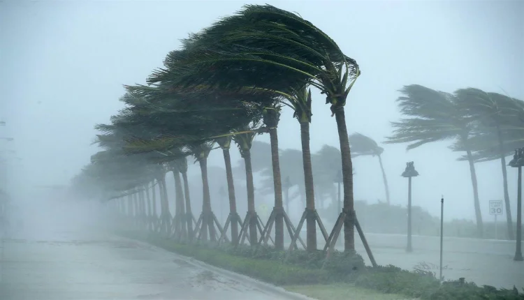 المديرية العامة للأرصاد الجوية تبشر المغاربة بأمطار الخير