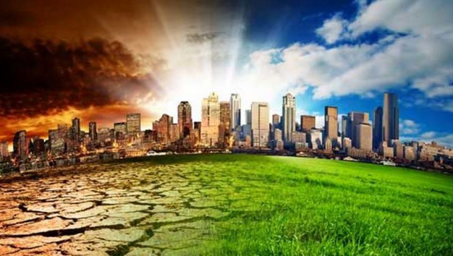 دراسة: تغيرات المناخ قد تُطلق العنان لأوبئة مدمرة