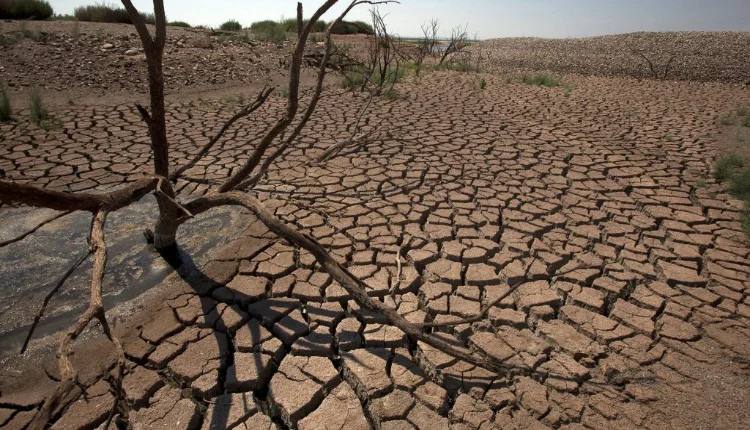 بسبب الجفاف.. دولة تعلن حالة طوارئ في البلاد