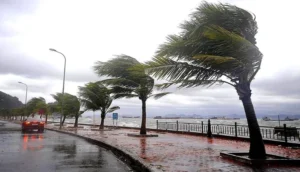 منخفض جوي قوي يهدد المغرب بأمطار غزيرة وثلوج وعواصف رعدية
