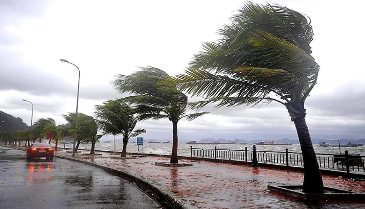 منخفض جوي قوي يهدد المغرب بأمطار غزيرة وثلوج وعواصف رعدية