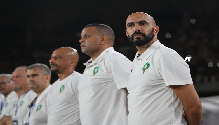 تفاصيل جولة أوروبية يقوم بها "وليد الركراكي"