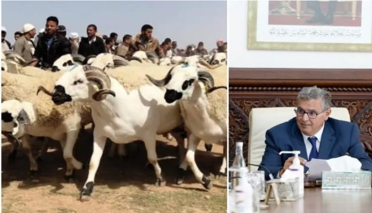 عيد الأضحى.. توضحيات هامة من الحكومة