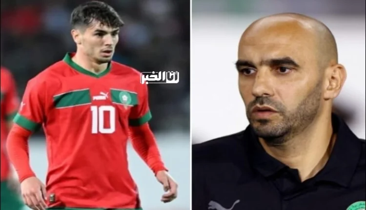 تواصل جديد بي وليد الركراكي وإبراهيم دياز