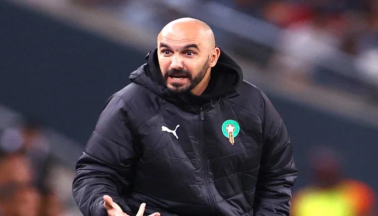 وليد الركراكي