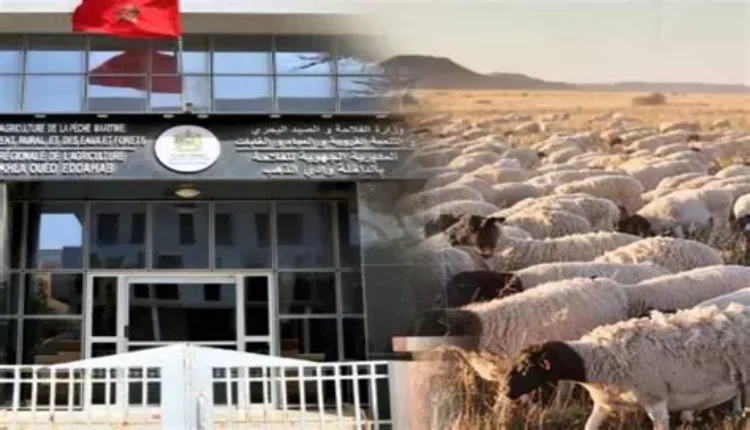 بلاغ من المديرية الجهوية للفلاحة بالداخلة