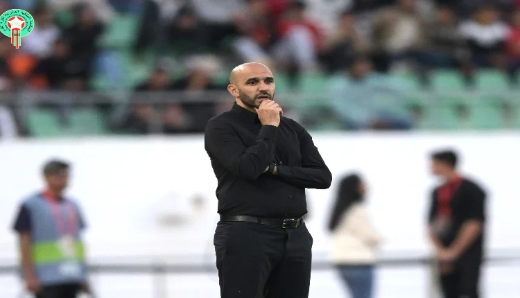وليد الركراكي مدرب المنتخب المغربي