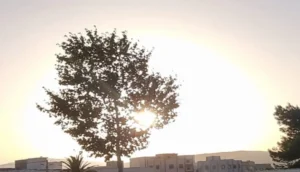 درجات الحرارة