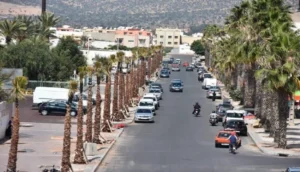 حركة بيئية تعتبر غرس النخيل بالمدن "جريمة"
