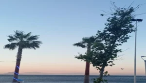 توقعات طقس المغرب اليوم الإثنين