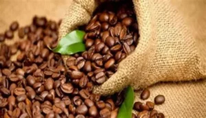 صادرات البن الإثيوبي حققت 1.43 مليار دولار في العام المالي 2023/2024 7 صادرات البن الإثيوبي حققت 1.43 مليار دولار في العام المالي 2023/2024