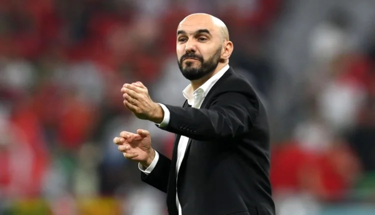 وليد الركراكي