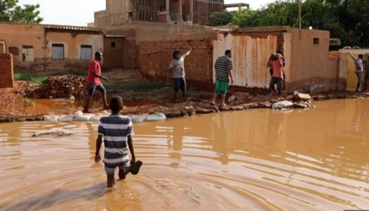 فيضانات بالنيجر.. نحو 131 قتيلا و133 جريحا