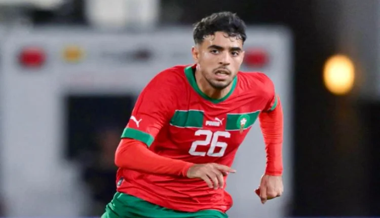 شادي رياض