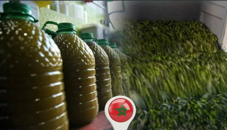 أسعار زيت الزيتون ستصل لمستويات قياسية قريبا.. تعرَٓف على الثمن