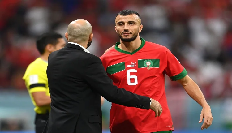 وليد الركراكي وغانم سايس