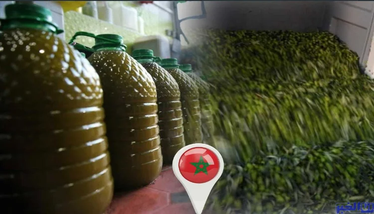 أسعار زيت الزيتون في المغرب.. أخبار غير سارة