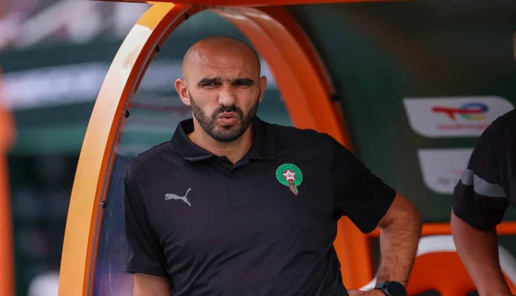 وليد الركراكي سيعلن عن أسماء جديدة بالمنتخب المغربي