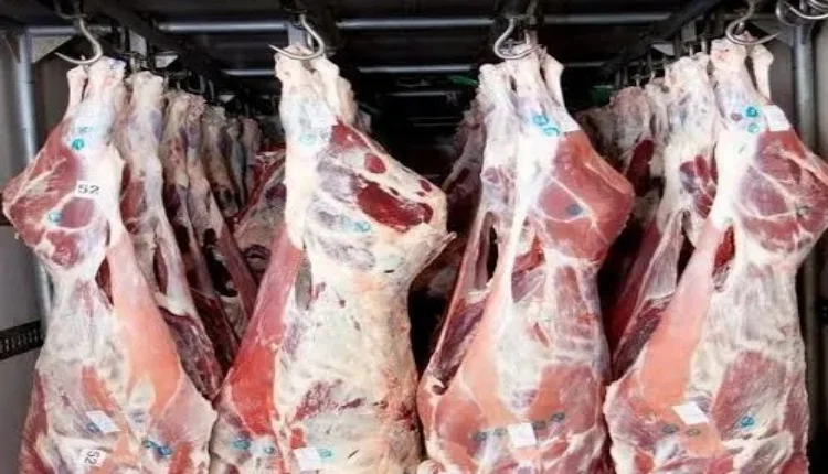 اللحوم الحمراء .. المجازر تسجل خصاصا مهولا في قطعان الماشية المعدة للذبح