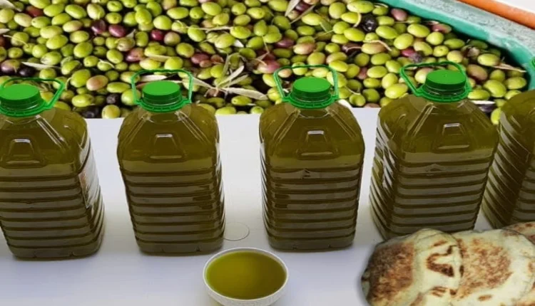 أسعار زيت الزيتون سترتفع وهذا هو الثمن المتوقع