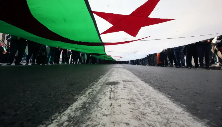 تزامنا مع الإنتخابات.. الشعب الجزائري يخرج بالطوابير لإقتناء الدجاج المستورد من البرازيل -فيديو-