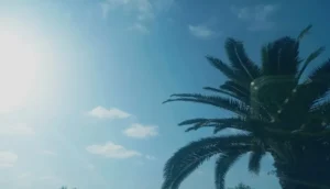 درجات الحرارة الدنيا والعليا المرتقبة اليوم الثلاثاء