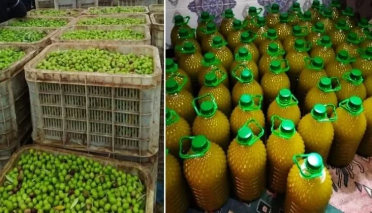 أسعار زيت الزيتون بالمغرب تقفز لرقم مفاجئ