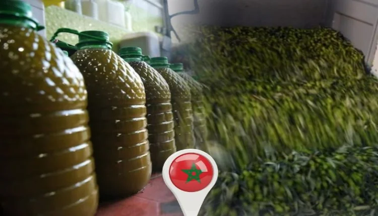 كيف تميز زيت الزيتون الأصلي عن المغشوش؟ دليل شامل