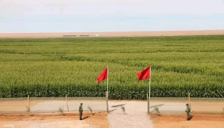تفاصيل مشروع تحويل الصحراء إلى حقول خضراء