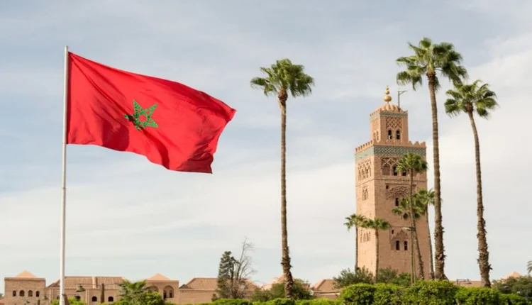الإحصاء.. الشروع في تحليل البيانات