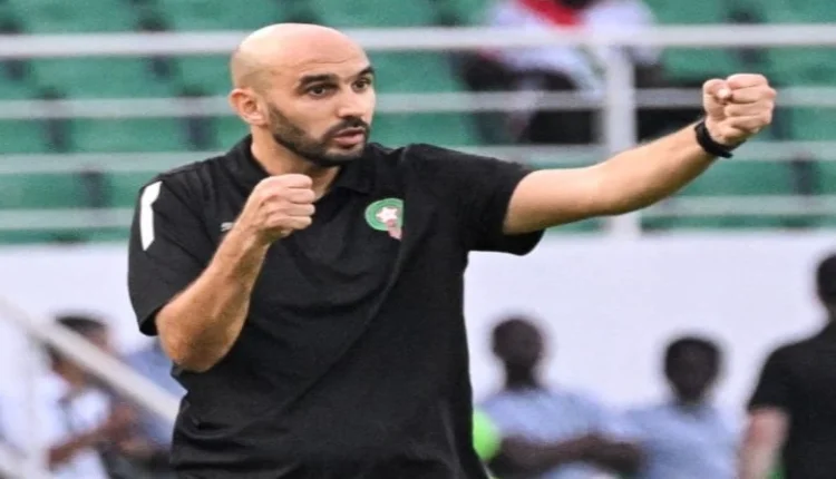 شجار بين وليد الركراكي ومدرب إفريقيا الوسطى (فيديو)