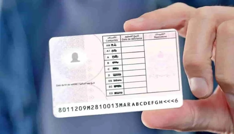 الحكومة تطلع على اتفاق بشأن الاعتراف المتبادل برخص السياقة