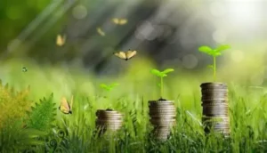 بدون لغة الخشب! ما هو الاقتصاد الأخضر؟