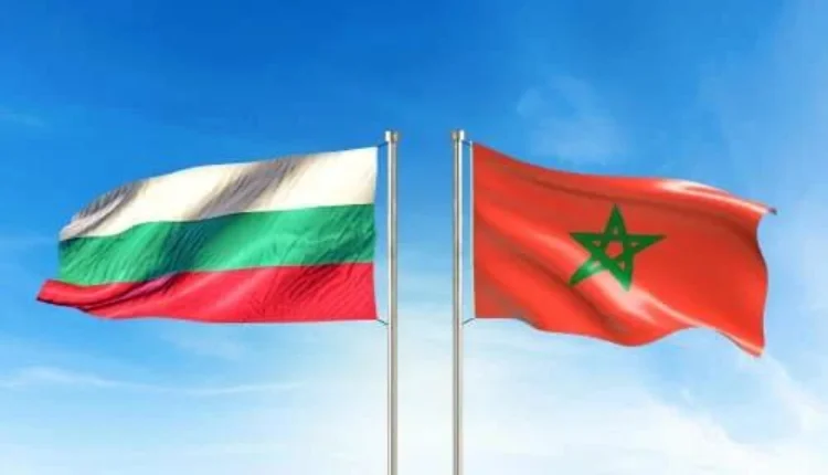 نبذة عن رضوان الدغوغي السفير الجديد للمغرب لدى جمهورية بلغاريا