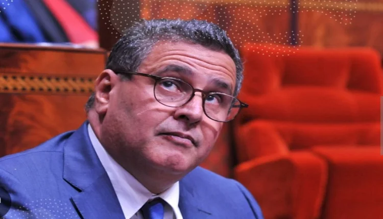 في المغرب.. وزيرة في حكومة أخنوش تكشف أكثر 3 مناطق هشة