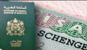 فرصة ذهبية للطلاب: تدريب بحثي مدفوع الأجر مع فيزا شنغن مجانية