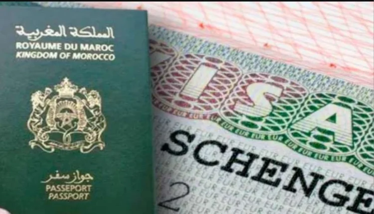 فرصة ذهبية للطلاب: تدريب بحثي مدفوع الأجر مع فيزا شنغن مجانية