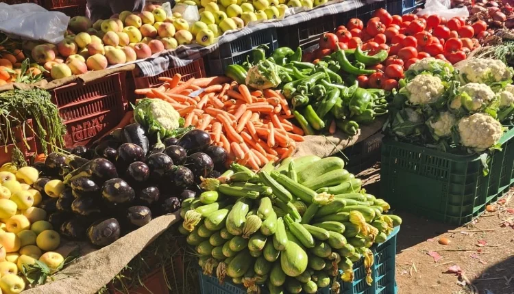 قرار موريتاني يثير الغضب بالمغرب بخصوص الخضر