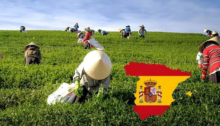 فرص عمل بإسبانيا.. حملة توظيف جديدة للمغاربة