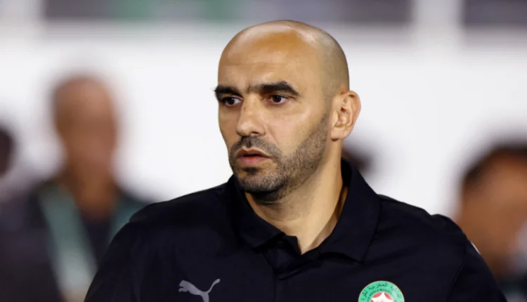 وليد الركراكي
