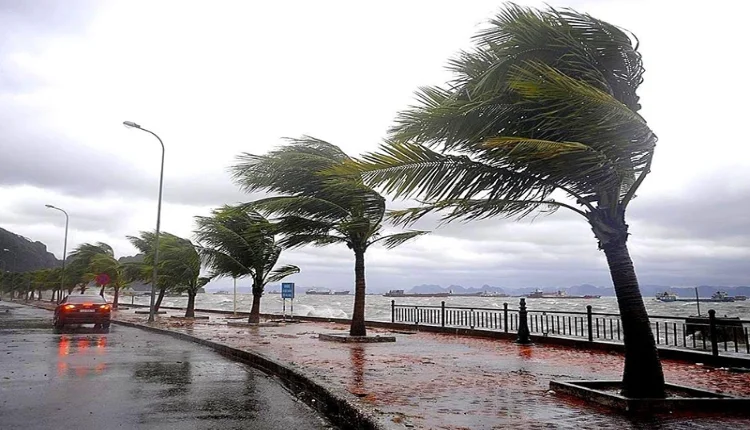 في حال ثبات التوقعات.. كمية أمطار كبيرة في اتجاه المغرب ابتداء من هذا التاريخ