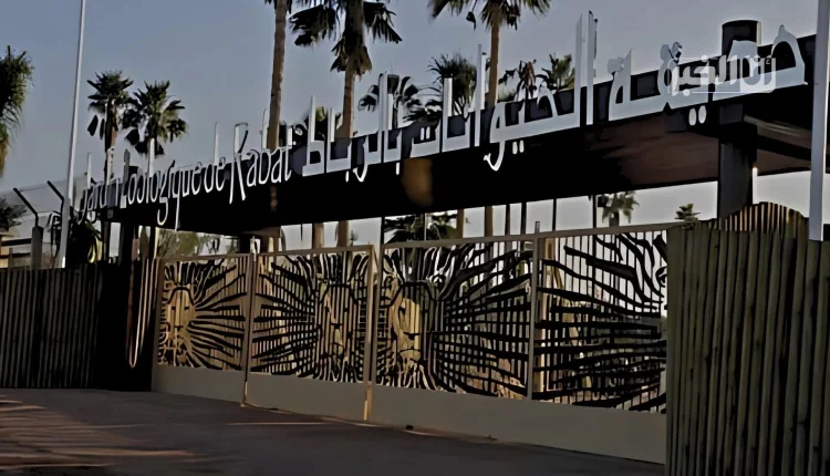 بـ 6 ملايين زائر حديقة الحيوانات بالرباط على أبواب مشاريع جديدة